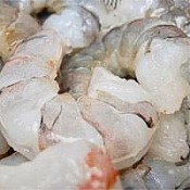 71/90 Gulf White Shrimp (Peeled) IQF