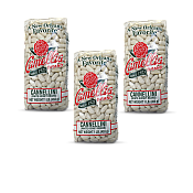 Camellia Cannellini Beans 1 lb Pack of 3