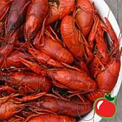 Fresh Boiled Crawfish - 50 lbs. Field Run Seasoned