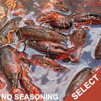 Live Crawfish Select 1 Sack