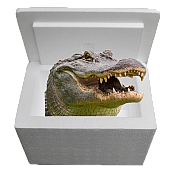 Louisiana Alligator Sampler Cooler